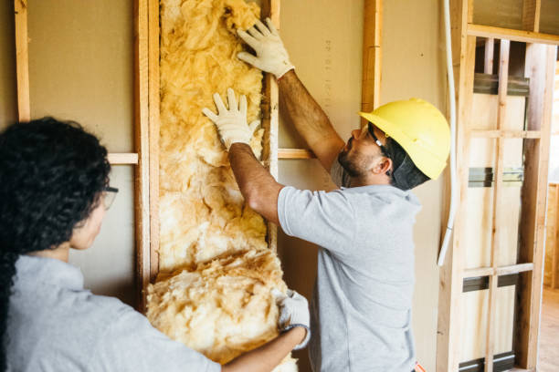 Types of Insulation We Offer in Amherst, TX